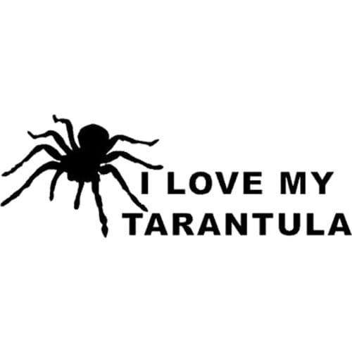 18*6.3cm I Love My Tarantula Spider Vinyl Car Wrap Cool Graphics Cute And Interesting Fashion Sticker Decals