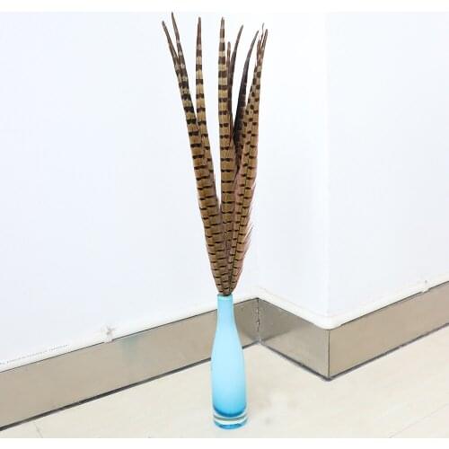 45-50CM Natural Rooster Feathers Tail DIY Wedding Jewelry Decoration Carnival Clothes Accessories High Quality Plumes For Crafts