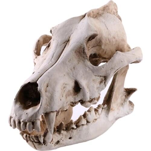 2021 New Aquarium Decoration Wolf Skull Resin Crafts Props Personality Ornament Fish Tank Decoration Resin Skull