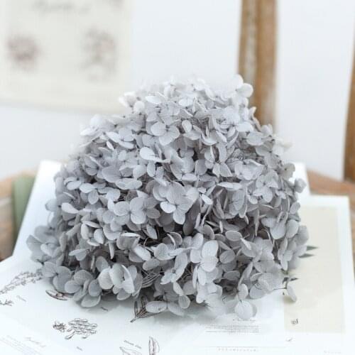 Dried flower grey 20G DIY material Grade A Anna Folium Hydrangea polychrome wedding decoration table