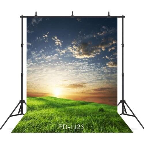 Lawn Under The Sunset Vinyl Background For Photo Shoot Props Children Baby Portrait Baby Shower Cloth Photo Backdrop Photocall