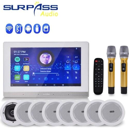 Powered WIFI Audio Bluetooth Stereo Wall Amplifier Background Music Karaoke Wireless Microphone Home Theater KTV AUX IN FM Radio