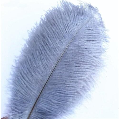 50Pcs/Lot Gray Ostrich Feathers for Crafts 15-70cm Feathers Ostrich Plumes Wedding Feathers Decoration Plumas Carnival Wholesale