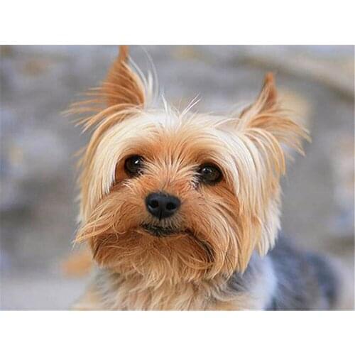 Animal Dog DIY Cross Stitch 11CT Embroidery Kits Craft Needlework Set Printed Canvas Cotton Thread Home Dropshipping