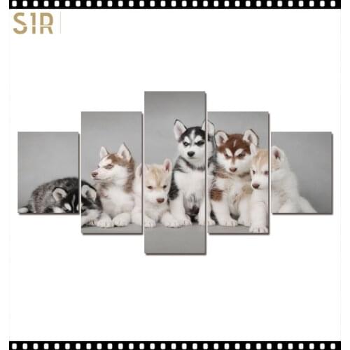 HD 5 Pieces Cute Pet Dog Pictures Posters Wall HD Art Home Decor for Living Room Painting on The Wall Pet Dog Pictures Wall Art