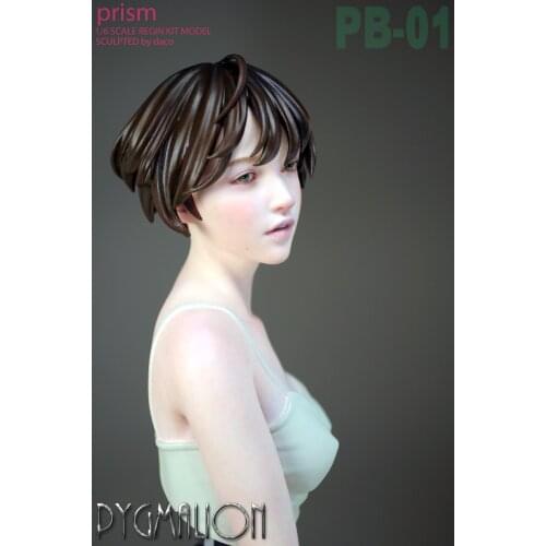 Garage Kit DPBY DACO female bust ratio unknown gk hand-made white model PB-01 black-haired girl
