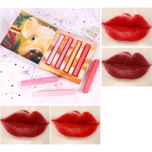 NEW Arrival Matte Velvet Lip Glaze Waterproof Lasting Not Easy To Fade Sexy Moisturizer Lip Gloss Set Cosmetic Makeup Lip