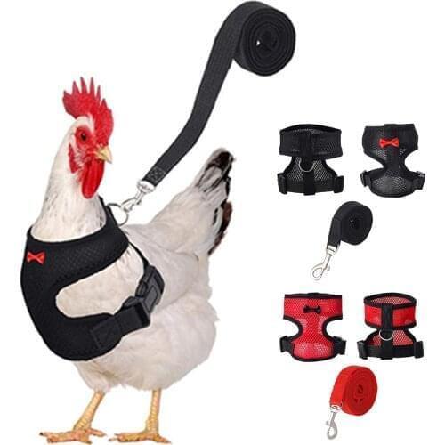 Adjustable Chicken Harness With Leash Breathable Pet Vest For Hen Chicken Duck Pet Mesh Breathable Safety Pet Vest New