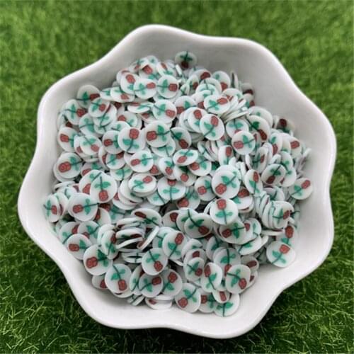 20g5mm Rose Printed specimen flower for Resin DIY Supplies Nails Art Polymer Clear Clay accessories DIY Sequins scrapbook shakes