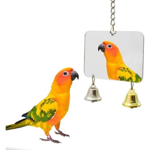 1Pc Pet Toy Mirror Fun Toy for Cockatiel Parrots Small Birds Parrot Pet Parrots Climb Outdoor Indoor Hanging Pet Supplies