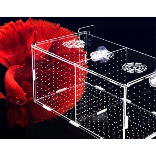 Mini Aquarium Isolation Box Hook Type Transparent Large Aquarium Small Fish Fry Isolation Box Aquarium Supplies