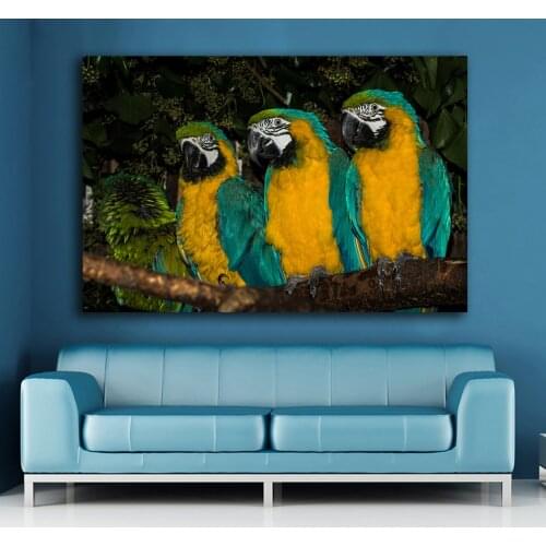 Large Size photos Animal Parrot Bird Branch Canvas Home Decor Wall oil Painting Print Nice wall picture for living room