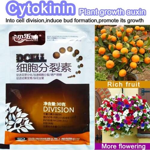 Cytokinin Plant Hormones Improve Vegetable Flower Fruit Tree Better Product And Grow Delaying leaf senescence For Garden Bonsai