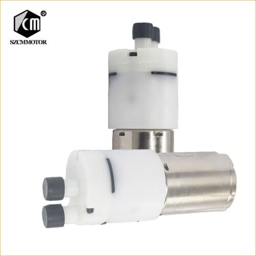 12V Small Water Pump with Dc Motor Low Noise Large Flow for Drinking
