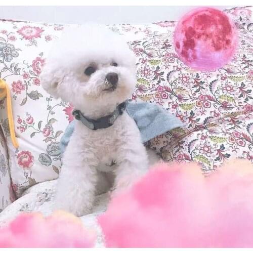 Fashion Pet Dog Demin Dress Waistcoat Style Adjustable Leash Harness Set for Small Medium Dogs Outdoor Leading Accessories AML02