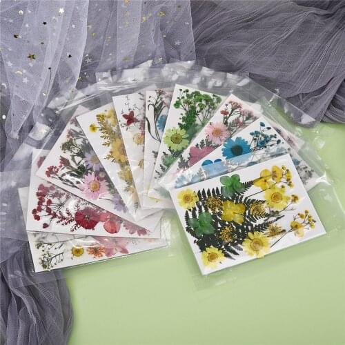 DIY Dried Flowers UV Expoxy Resin Mold Fillings Flower for Nail Art Pressed Flowers for Home Decor Resin Crafts