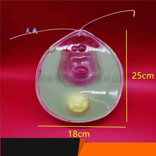 Chlamydomonas model Biological demonstration model Teaching instruments