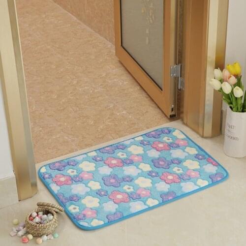 Carpets for Bedroom Rugs and Carpets for Home Lliving room Doormat for Childrens room Carpet for Bathroom Water absorbing Mats