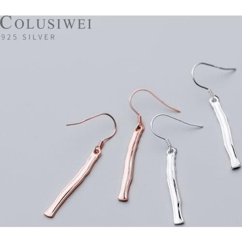 Colusiwei Irregular Geometric Stick Shape Dangle Earrings for Women Minimalism 925 Sterling Silver Hook Jewelry Anti-allergy