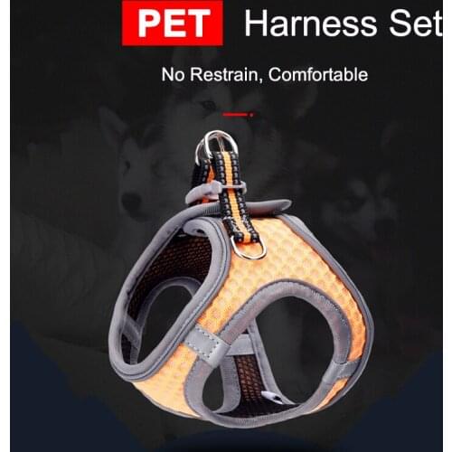 Dog Harness And Leash Set Pet Chien Correa Perro Arnes Harnais Pour Para For Small Dogs Fashion Reflective Breathable Mesh Vest
