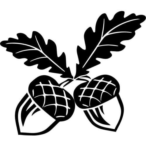 14.3X16.8CM Oak Tree Acorn Nature Leaves Window Decals Car Sticker Accessories