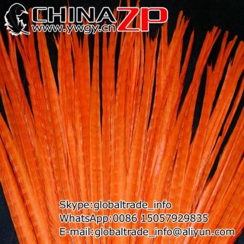 CHINAZP Factory Wholesale 100pcs/lot Size 20-22inch(50-55cm) Top Quality Dyed Orange Ringneck Pheasant Tail Feathers