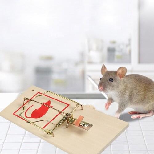 4 x Wooden Mouse Mice Trap Reusable Rodent Bait Traps