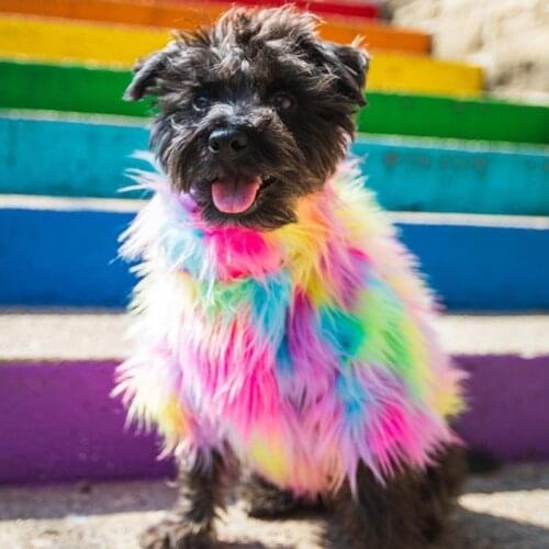 Soft Furry Dog Sweater Winter Warm Dog Clothes Windproof Pet Chihuahua French Bulldog Coat Jacket For Small And Medium Dogs