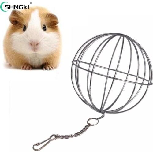 Pets Grass Feeding Ball Stainless Steel Electroplated Round Grass Collecting Ball For Feeding Chinchilla Rabbit Guinea Pig