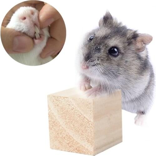 Rope Wood Blocks Hamster Chew Toy Mouse Guinea Rat Hedgehog Exercise Play Toy