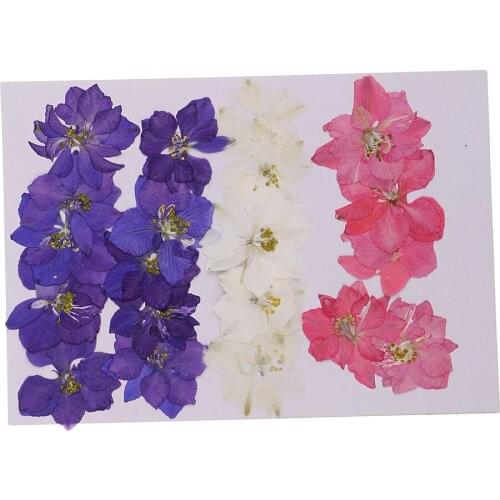 20 Pieces Pressed Dried Flower Real Flower Delphinium Scrapbooking Embellishments for Jewelry Making DIY Ornament