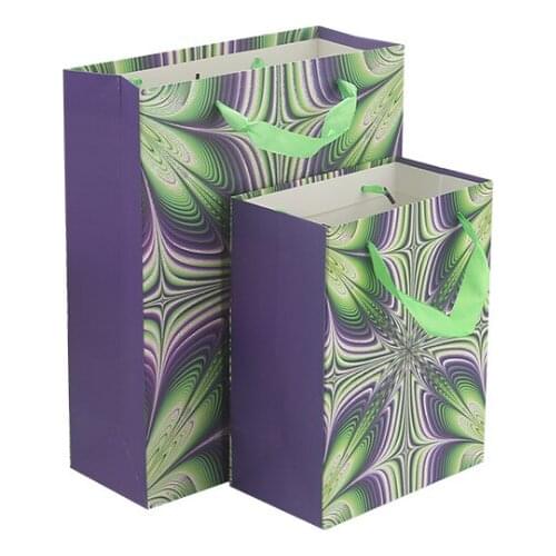 CMYK printing Luxury Cute Packaging Bag Custom Foldnable shopping Bag For Earring --XP2374