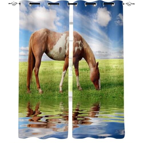 Brown Horse Grassland River Window Curtains Living Room Bedroom Kitchen Curtain For Children Drapes Window Treatment