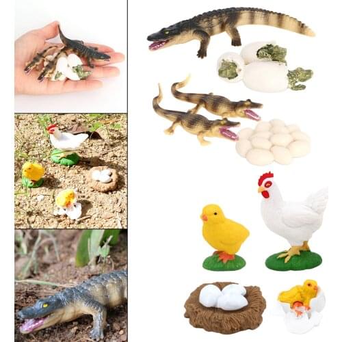 2 Set Insects Growth Life Cycle Figures Education Toy Role Play Themed Party