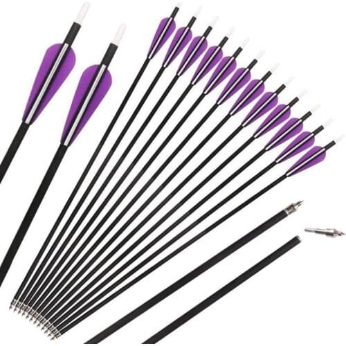 Luoyer 12 Pcs 31" Archery Carbon Arrows 350 Spine Hunting Arrows with 100 Grain Screw in Tips for Crossbow Recurve Bow Hunting T
