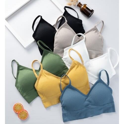 Women Tank Crop Top Bra Underwear Seamless Tube Top Back Hollow Lingerie Wire Free Intimates With Removable Padded Hot Sale