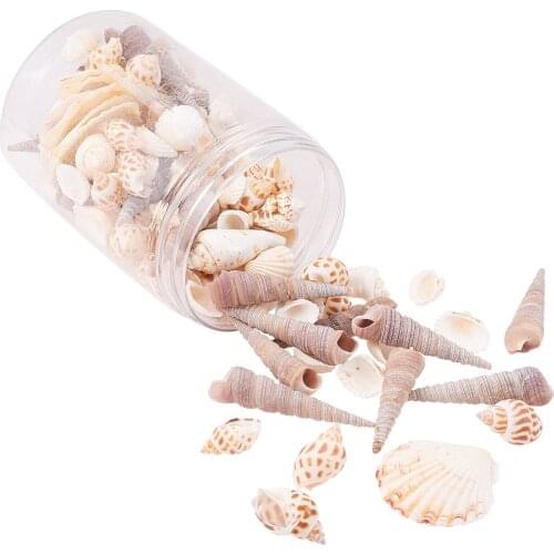 1box Natural Scallop Sea Shell Beads With no Hole Conch Jewelry for DIY Women Bracelet Necklace Craft Making Accessories