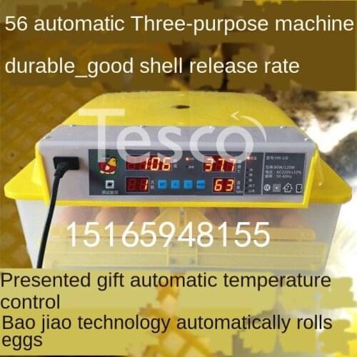 Electric Egg Incubator Household Incubator Incubator Incubator Small Incubator Chicken Egg Warmer Warming Machine Floating