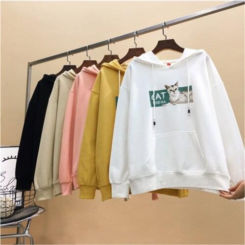 Thin section sweater womens spring autumn casual shirt tide Korean students loose sports hooded hooded sweater D224