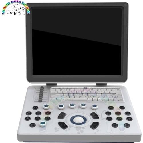 15 Inch LCD Screen B/W Portable Notebook Ultrasound Hot Sale