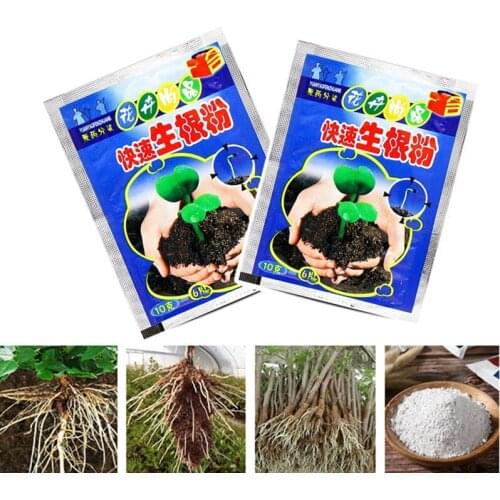 5/10 Bags Rooting Powder Flower Anther Fertilizer Soak Seeds Root Seedling Germination Plant Rhizomes Rapid Sprouting Rooting