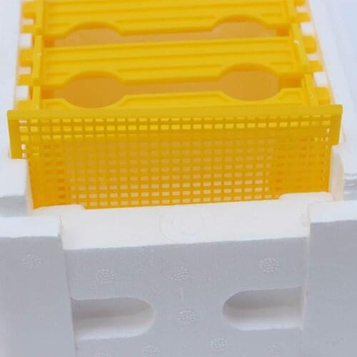 Foam Bee Mating Box with Grid Warmkeeping Waterproof Queen Breeding Case 24.1x15x14.1cm Beekeeping Tools for Pollination J2Y