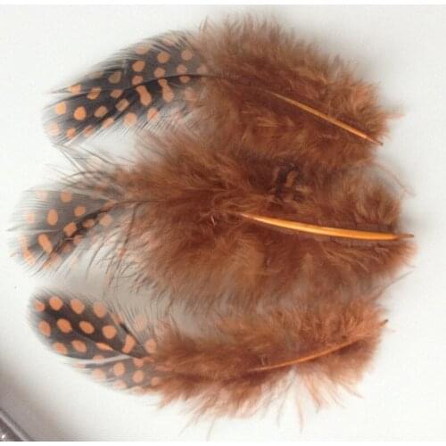 Hot! Sales 20PCS beautiful Coffee guinea fowl feathers, 2-4 "/ 5-10cm DIY Jewelry Decoration Accessories