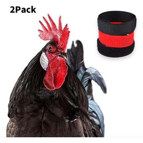 2 Pack Pet Supplies Anti-hook Rooster Collar No Hook Prevents Chicken Calling Neckband Collar Supplies