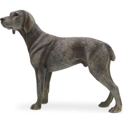 JJM German WEIMARANER Dog PVC Dog Model Educational for Children Adults Kids Gift Pet Animal Figure Toy Collector Decoration