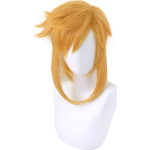 Breath of the Wild Link Short Ponytail Wig Cosplay Costume Heat Resistant Synthetic Hair Men Women Wigs + Wig Cap
