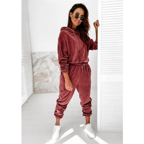 Velvet Tracksuit Women Two Piece Set Autumn Winter Clothes Long Sleeve Hooded Sweatshirt Top and Pants Suit Casual Velour Outfit