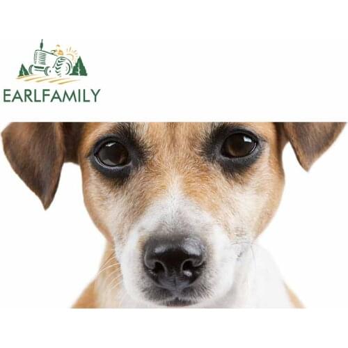 EARLFAMILY 13cm x 6.8cm For Jack Russell Terrier Fine Decal Motorcycle Car Stickers Laptop Boat Accessor Suitable for GTR EVO SX