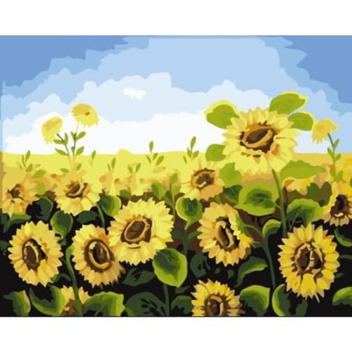 DIY oil painting paint by number canvas picture home wall decor sunflowers drawing coloring paint craft painting by numbers
