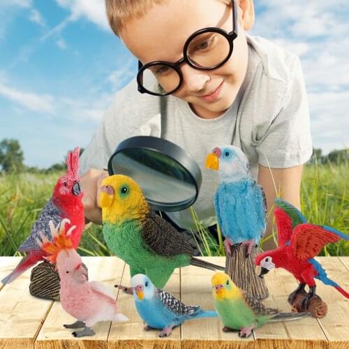 Realistic 3D Parrot Toys Colorful Bird Resin Figurines Simulation Animal Model Biological Toy Baby Kids Children Educational Toy